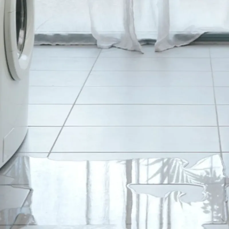 Appliance Leak Cleanup in Salt Lake City, UT