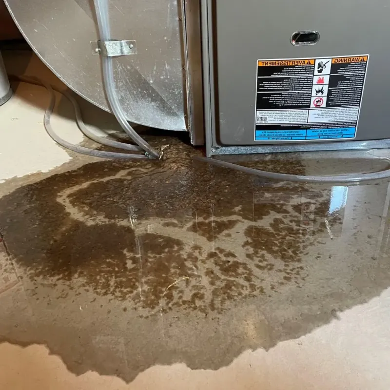 Pipe Burst and Leak Restoration in Salt Lake City, UT