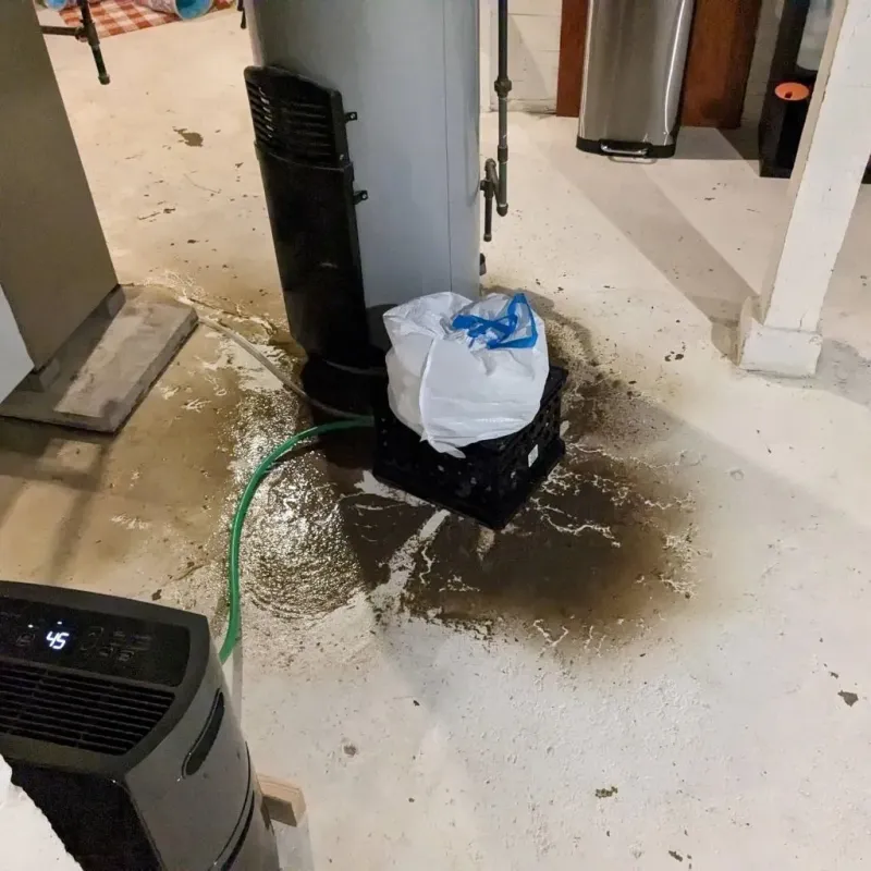 Sewage Backup Cleanup Service in Salt Lake City, UT